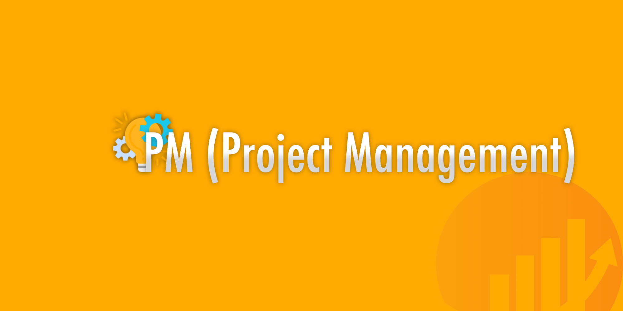PM (Project Management)